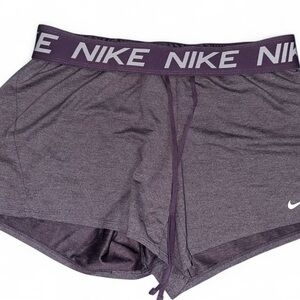 Nike Dri-FIT Heathered Deep Purple Shorts